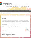 Frontiers in Synaptic Neuroscience杂志封面